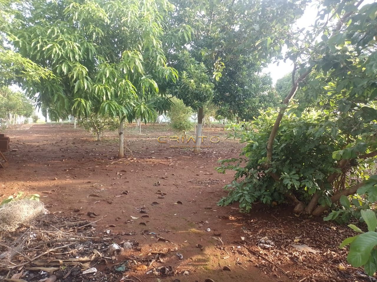 Chácara à venda com 3 quartos, 4m² - Foto 13