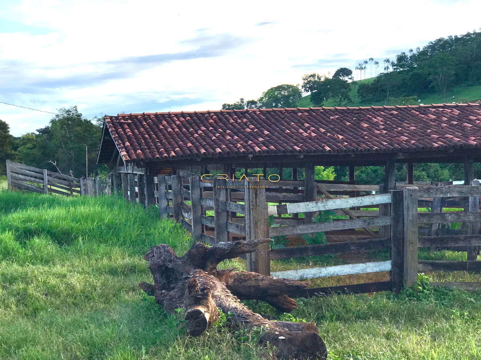 Fazenda à venda com 2 quartos, 150m² - Foto 13