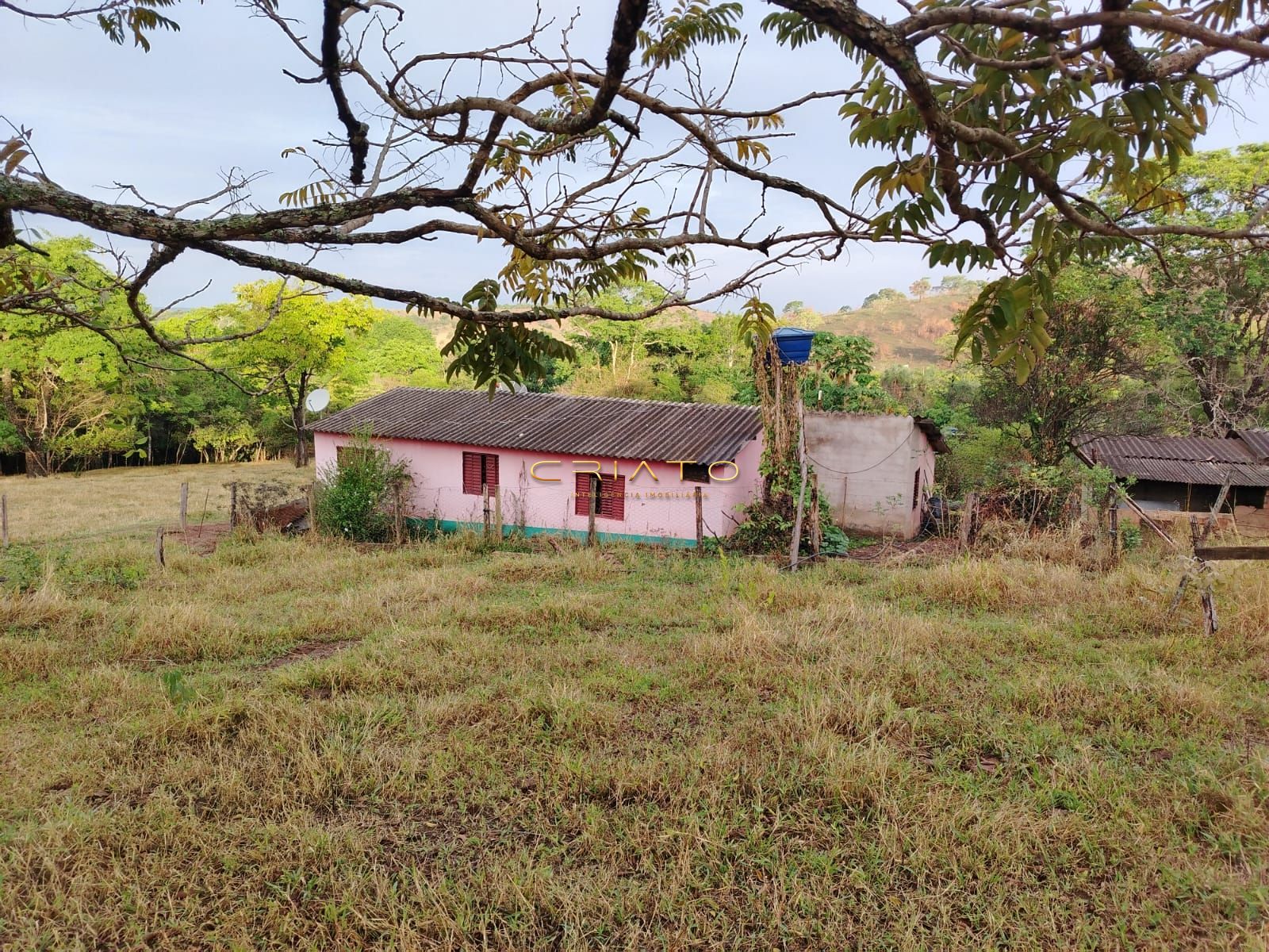 Fazenda à venda com 3 quartos, 5000m² - Foto 2