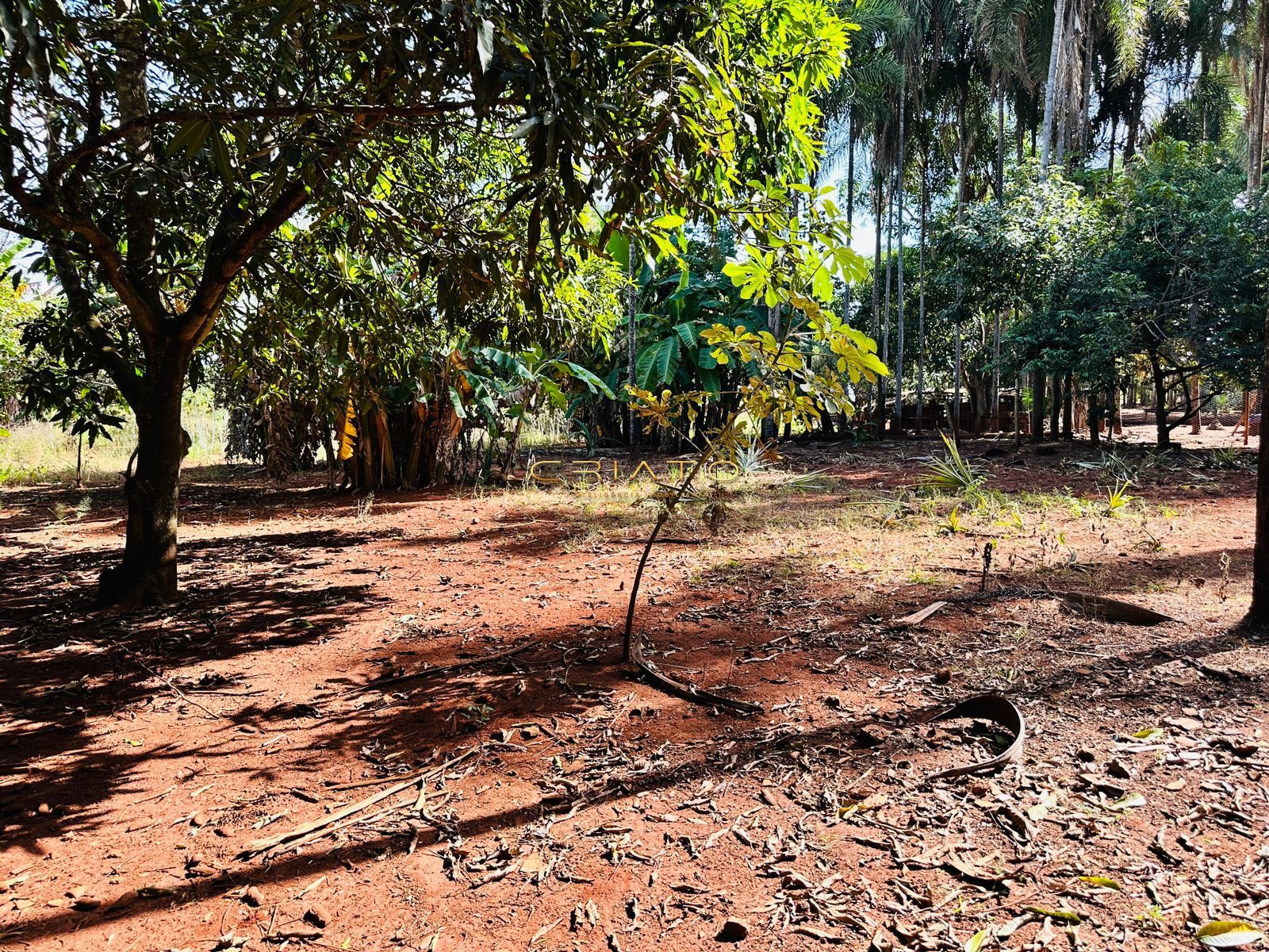 Fazenda à venda com 2 quartos, 40000m² - Foto 19