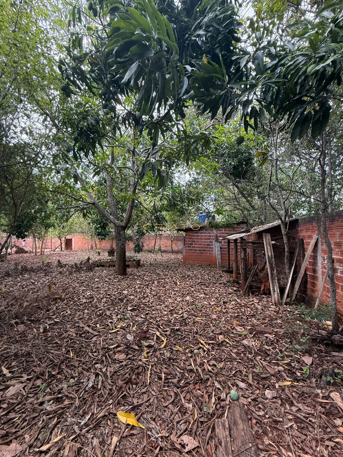 Terreno, 2631 m² - Foto 30