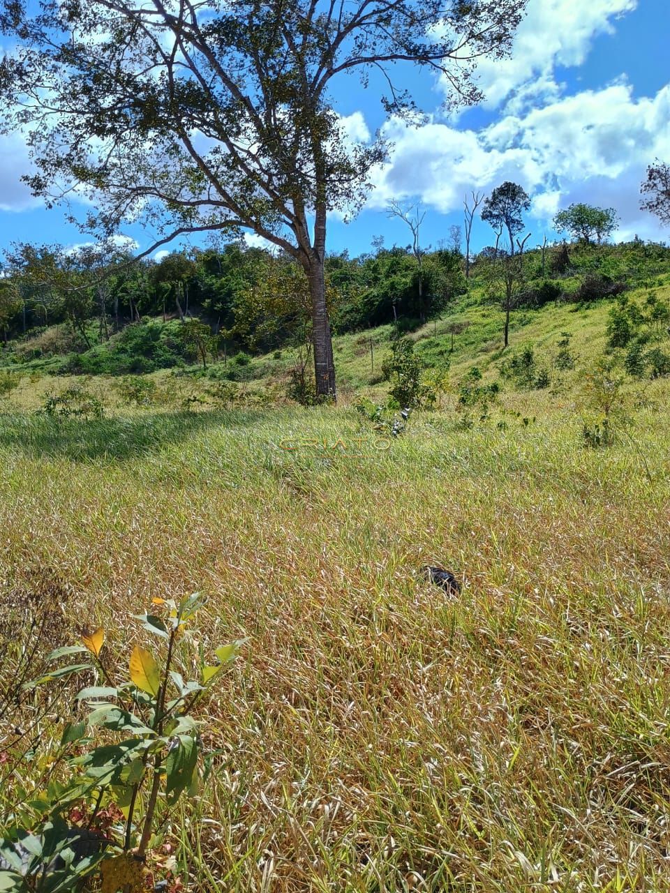 Fazenda à venda com 2 quartos, 5390000m² - Foto 22