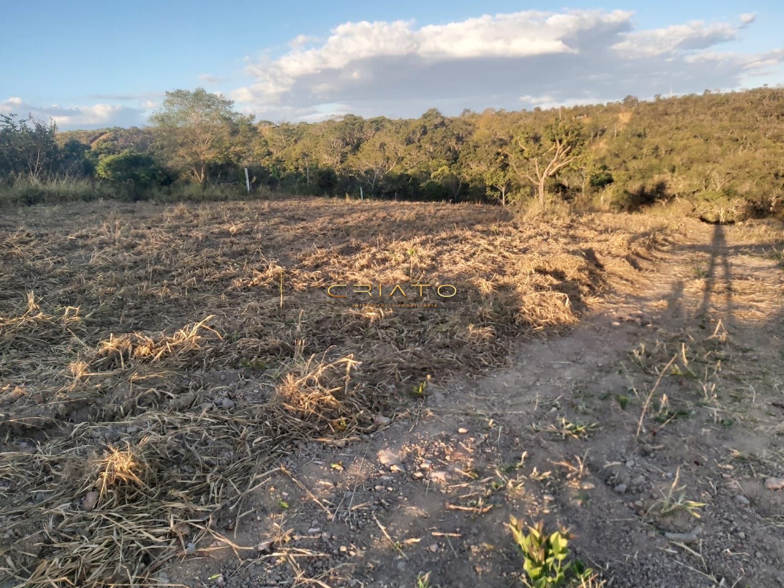 Loteamento e Condomínio à venda, 12500m² - Foto 15