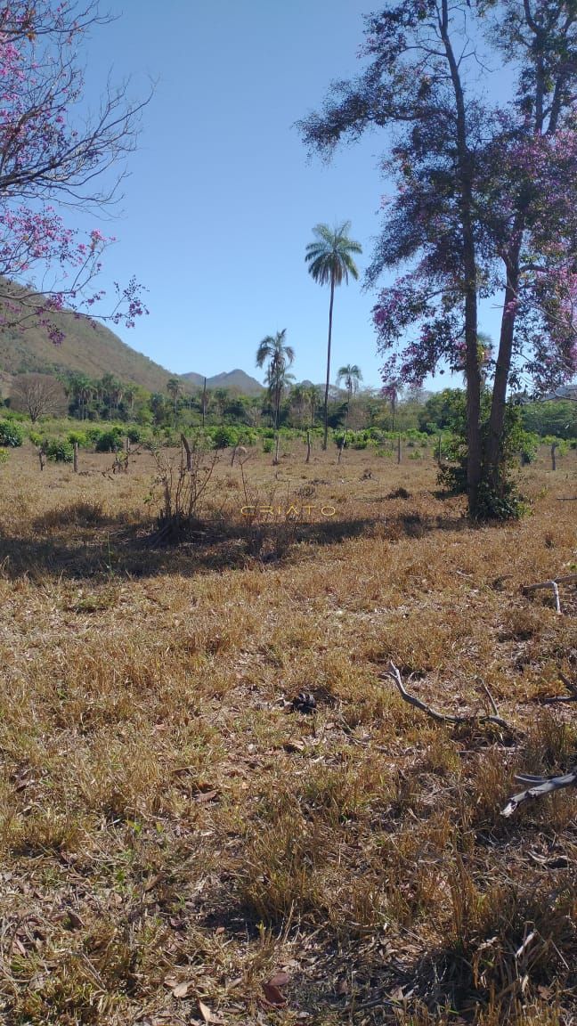 Fazenda à venda com 2 quartos, 80m² - Foto 20