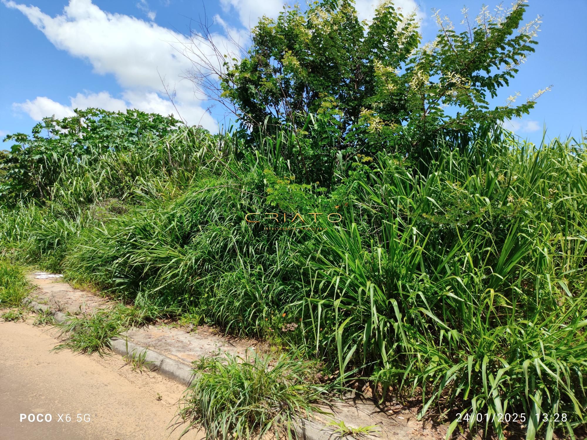 Terreno à venda, 4000m² - Foto 4