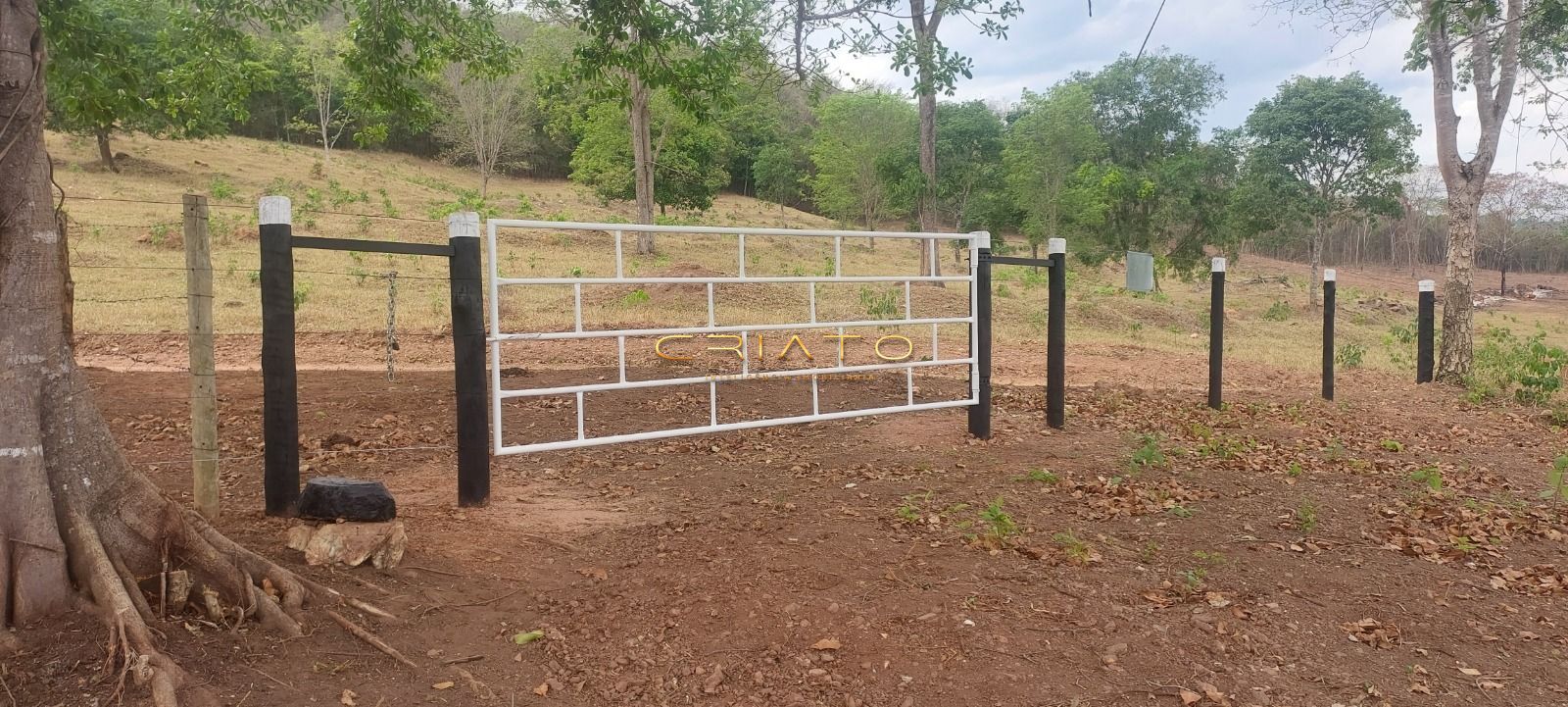 Sítio, 1 quarto, 6 hectares - Foto 15