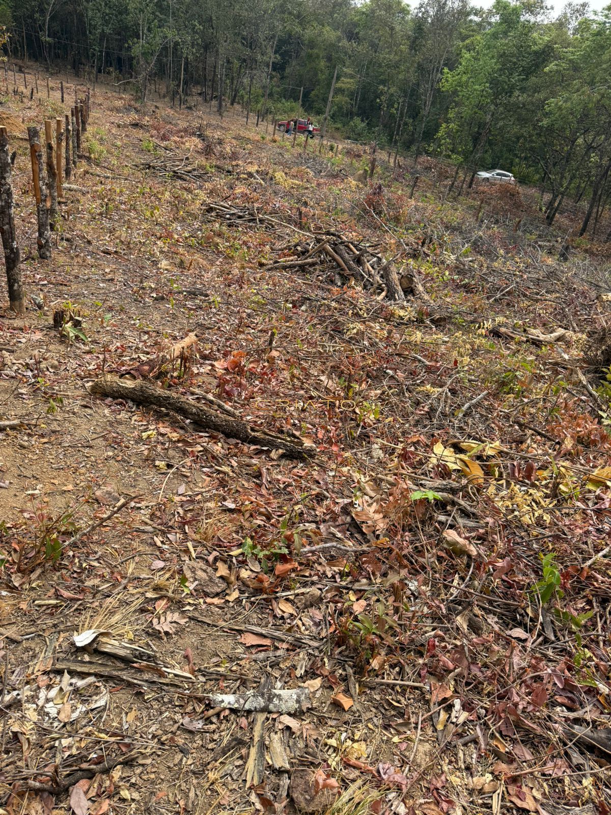 Terreno, 1221 m² - Foto 11