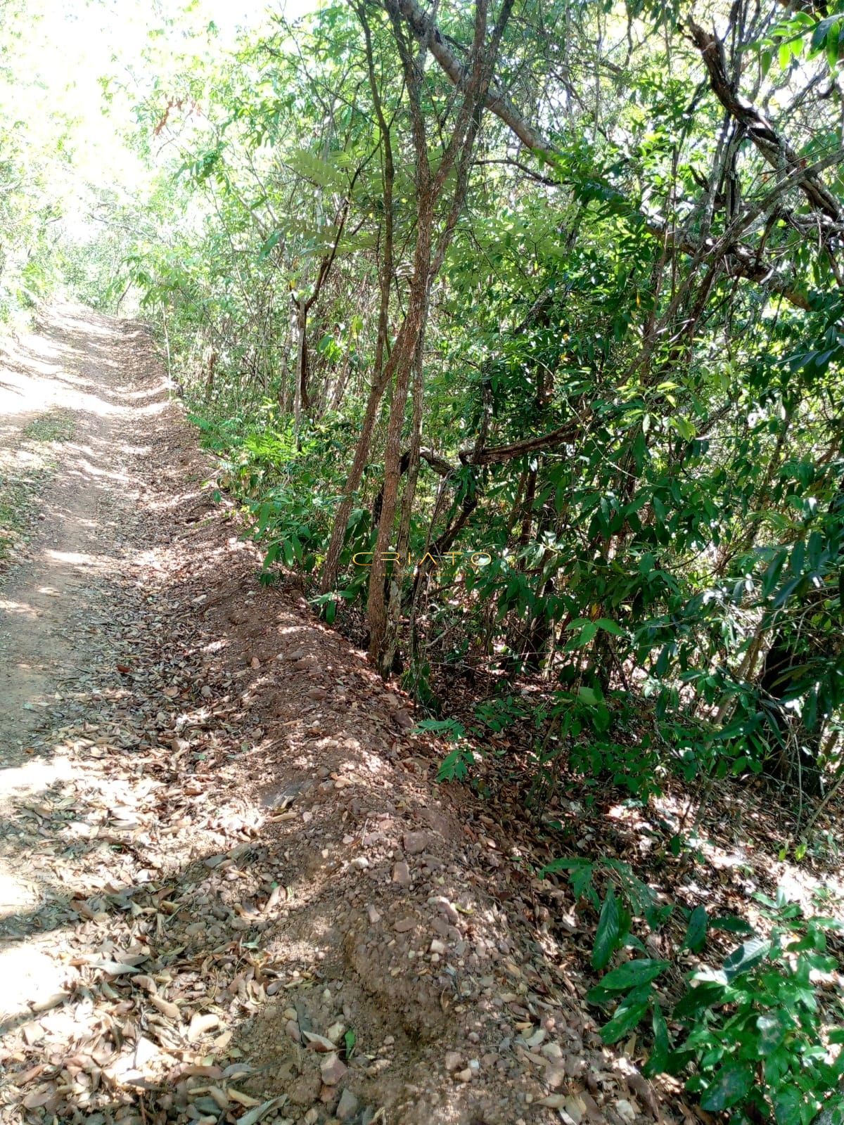 Chácara, 2 hectares - Foto 14