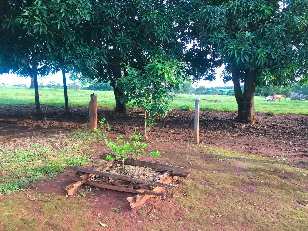 Fazenda à venda com 2 quartos, 150m² - Foto 33