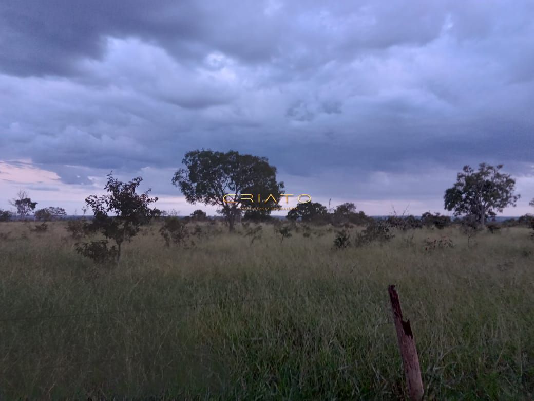 Fazenda à venda com 2 quartos, 36m² - Foto 26