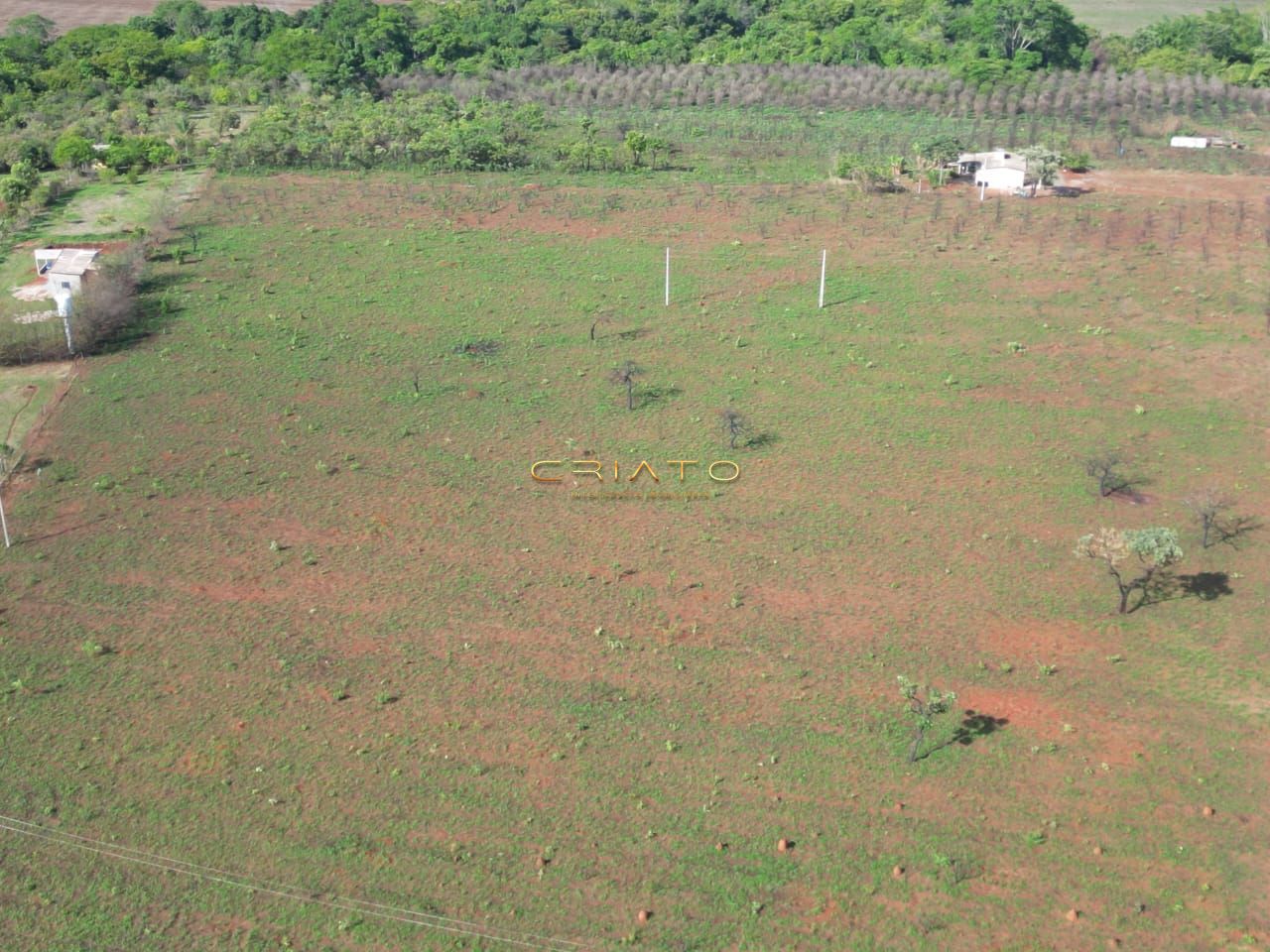 Fazenda à venda, 5000m² - Foto 6