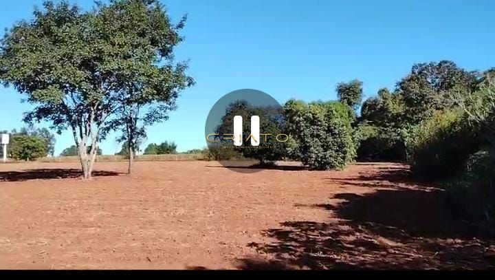 Chácara à venda com 2 quartos, 20000m² - Foto 11