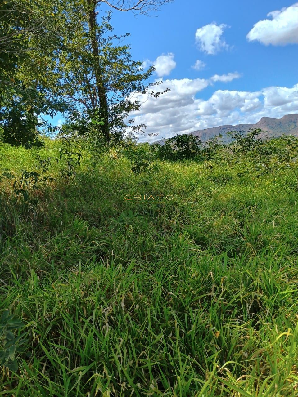 Fazenda à venda com 2 quartos, 5390000m² - Foto 17