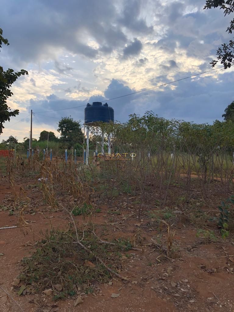 Fazenda à venda com 3 quartos, 3000m² - Foto 11