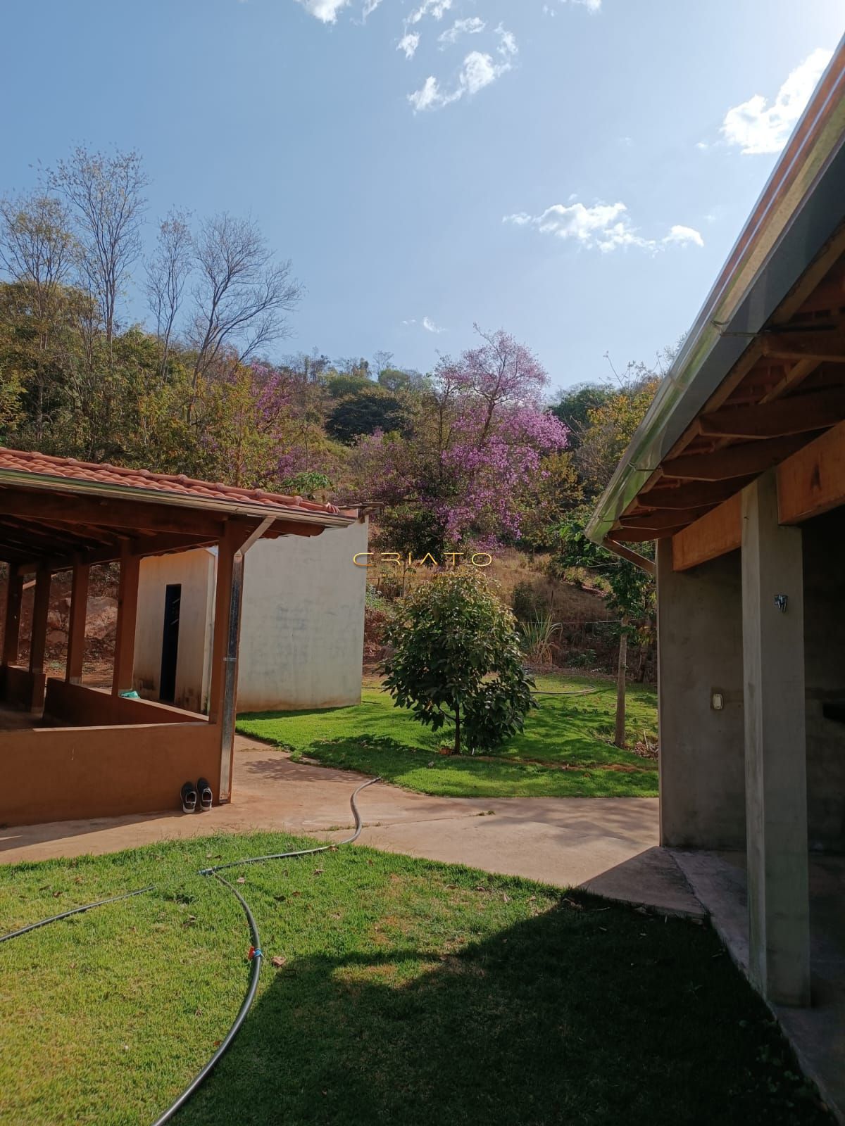 Fazenda à venda com 3 quartos, 12500m² - Foto 2