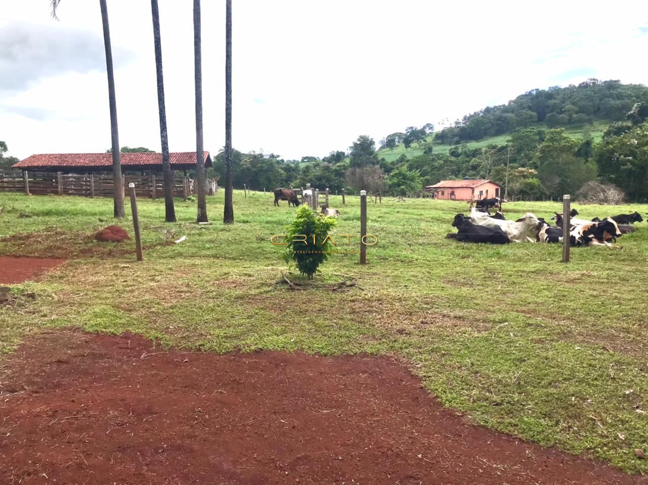 Fazenda à venda com 2 quartos, 150m² - Foto 34