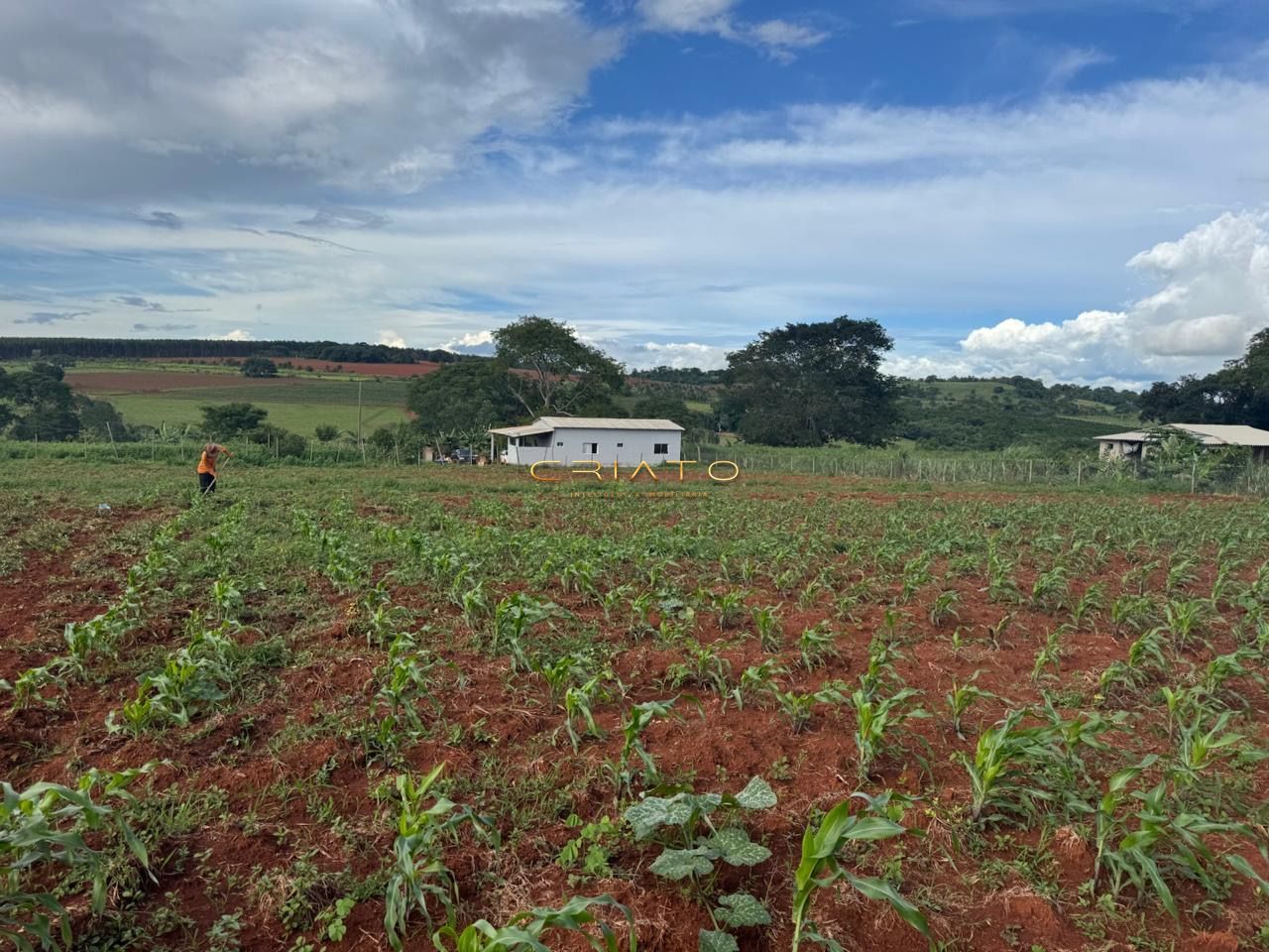 Fazenda/sítio/chácara/haras à venda  no Zona Rural - Campo Limpo de Goiás, GO. Imóveis