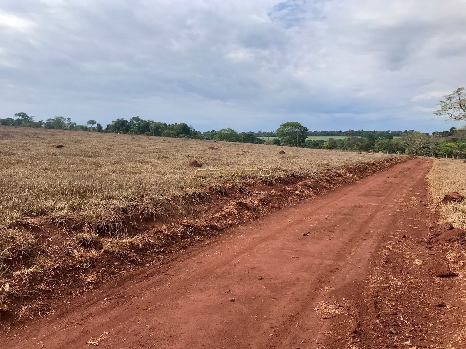 Fazenda à venda com 2 quartos, 150m² - Foto 24