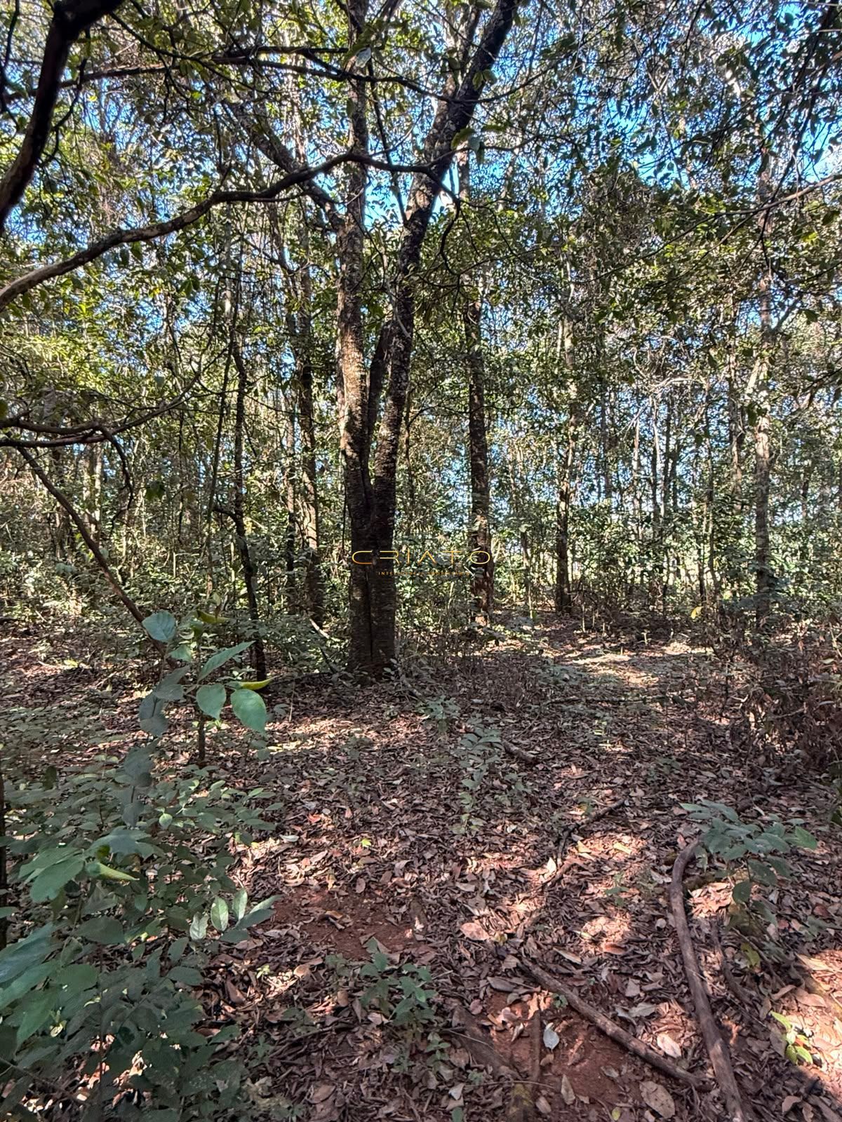 Terreno, 1200 m² - Foto 6