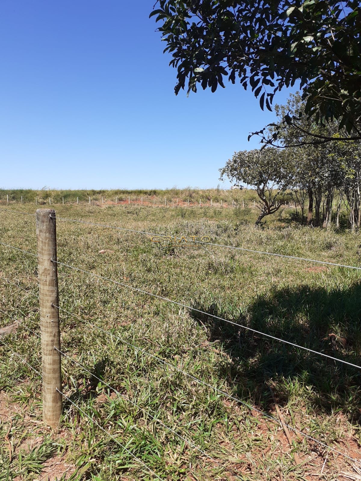 Fazenda à venda com 3 quartos, 20000m² - Foto 23