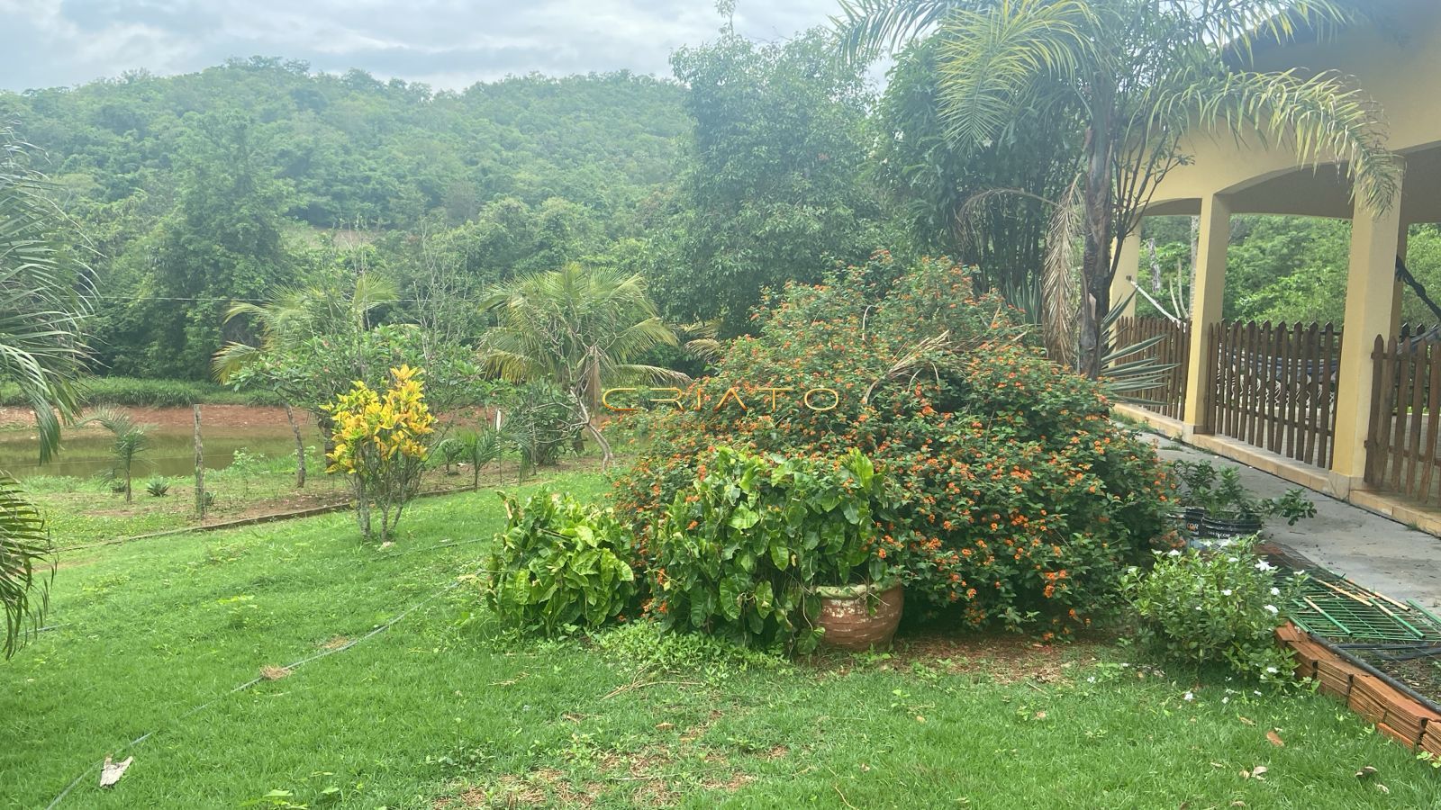 Fazenda, 188 hectares - Foto 8