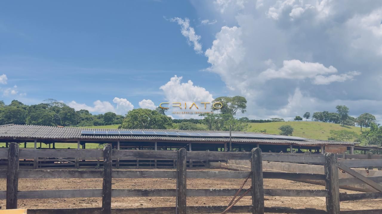 Fazenda, 44 hectares - Foto 14