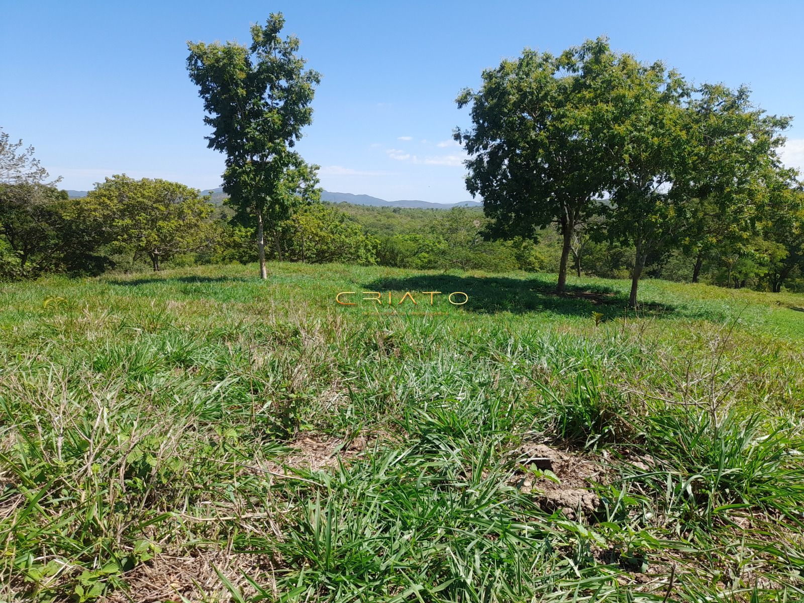 Fazenda, 145 hectares - Foto 4
