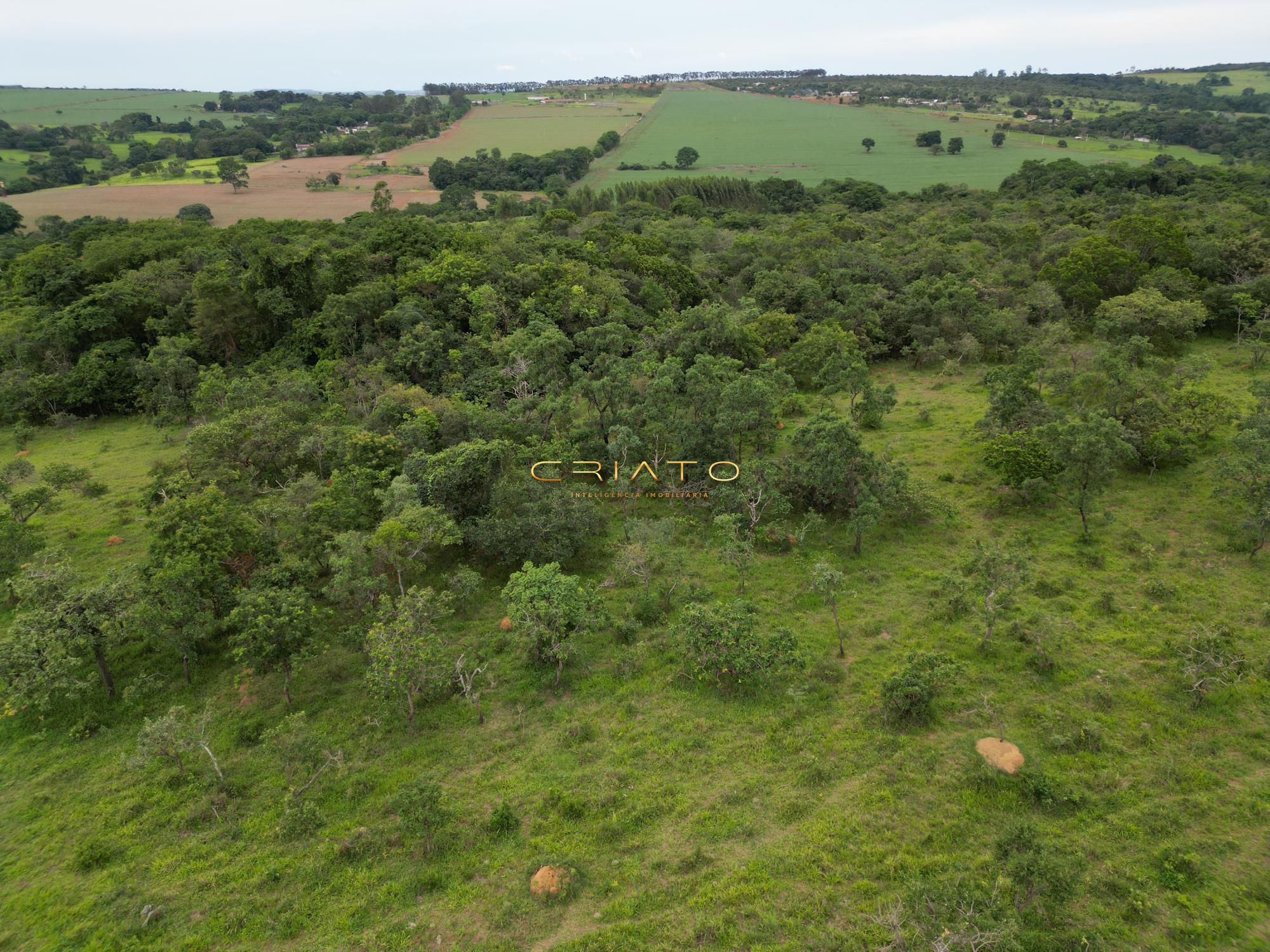 Fazenda à venda, 96000m² - Foto 8