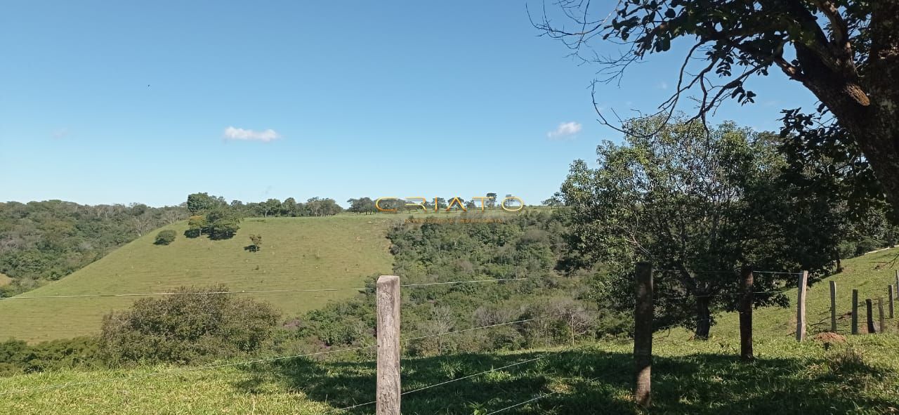 Fazenda à venda com 2 quartos, 240000m² - Foto 14