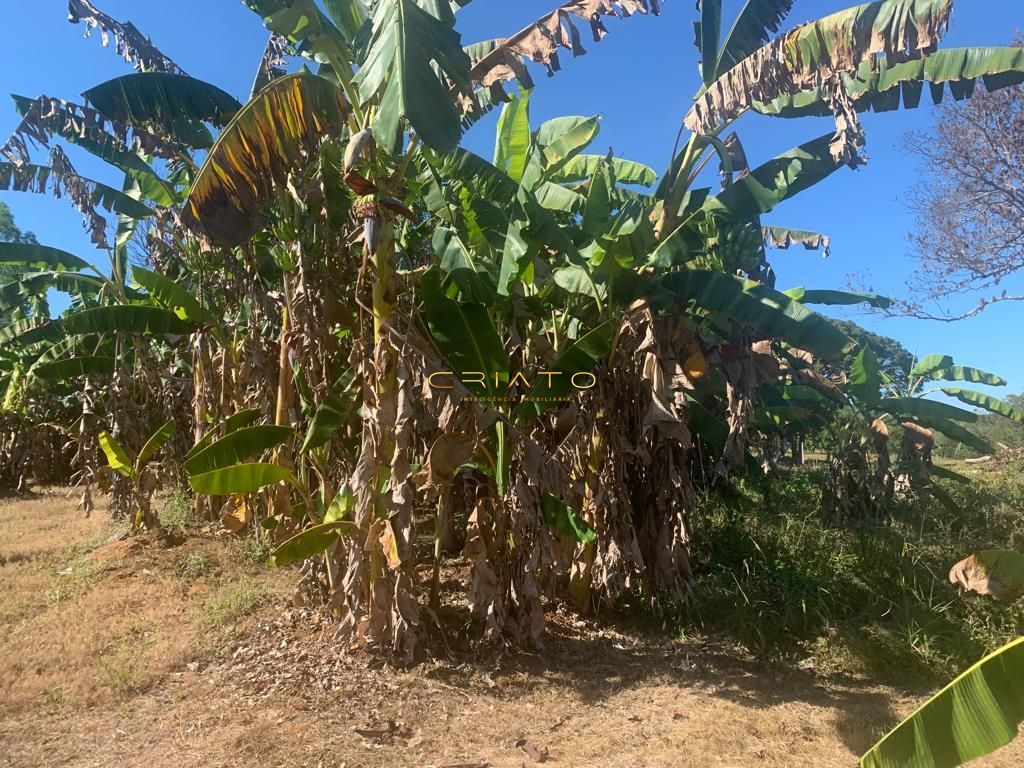 Fazenda à venda com 2 quartos, 620000m² - Foto 34