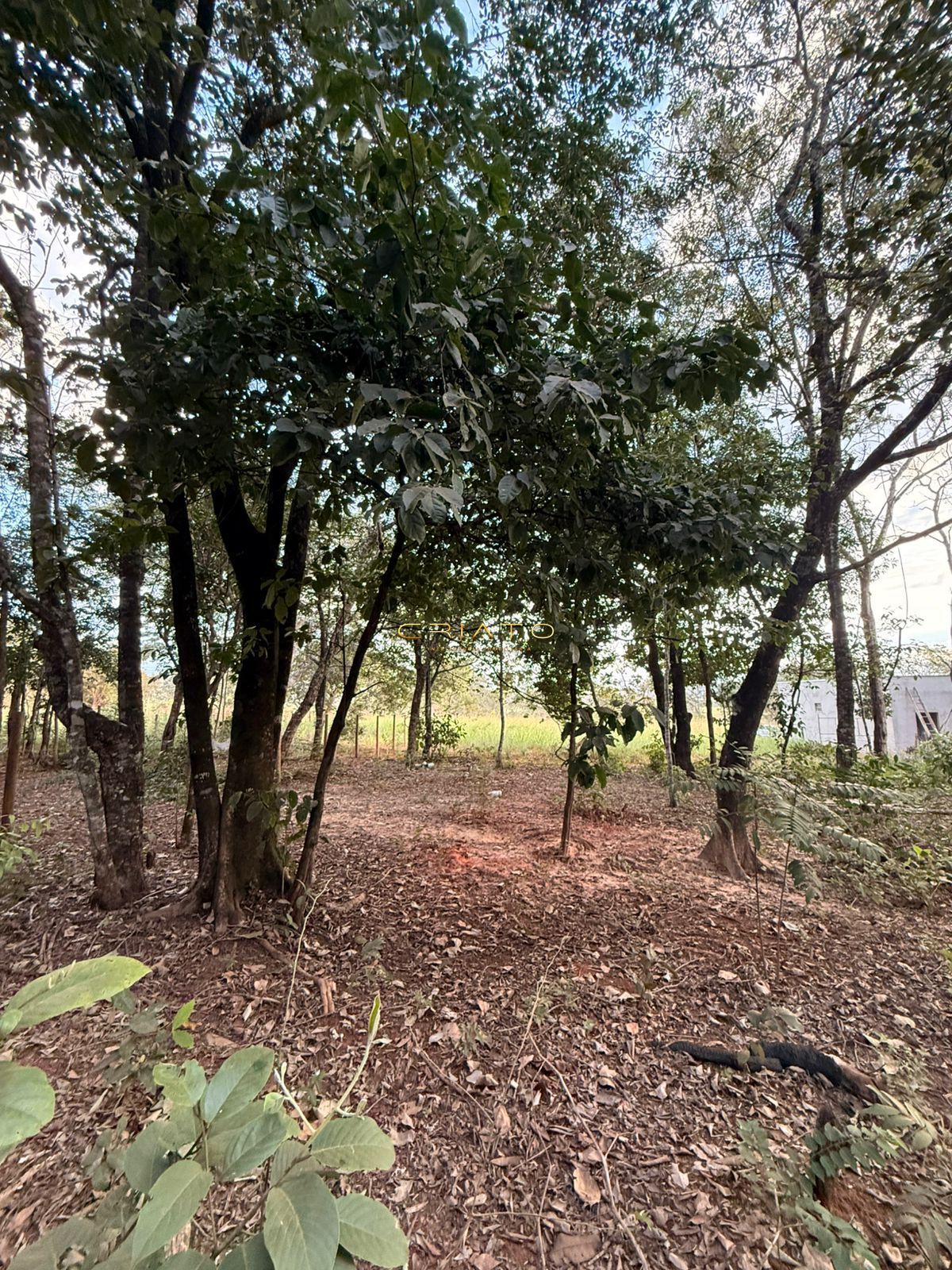 Terreno, 1000 m² - Foto 5