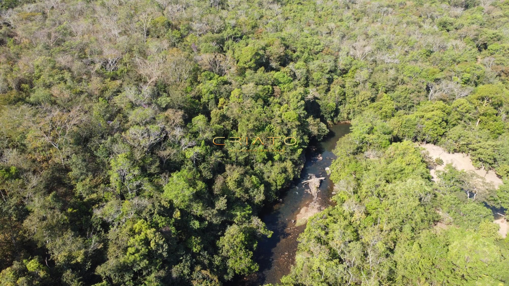 Fazenda à venda - Foto 12