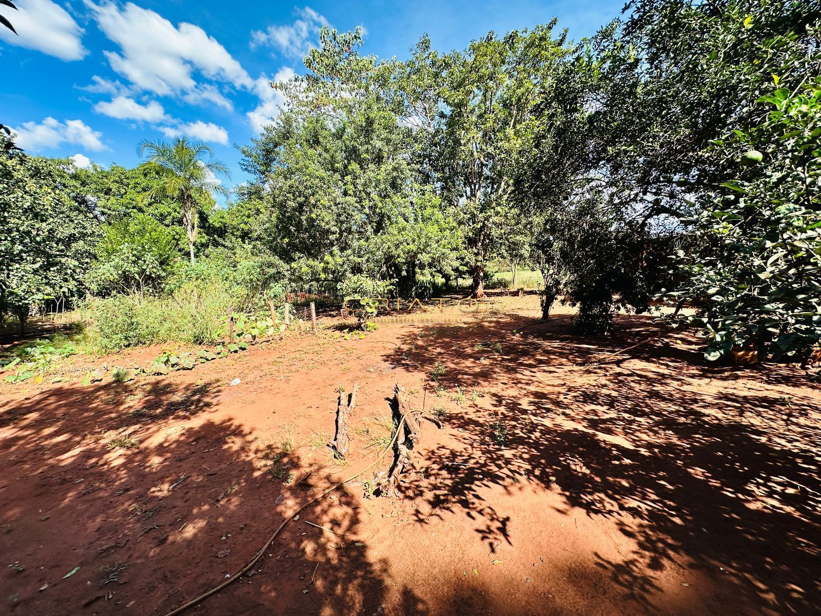 Fazenda à venda com 2 quartos, 40000m² - Foto 18