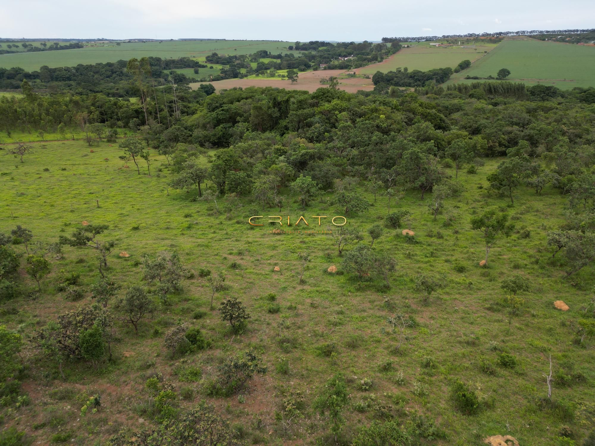 Fazenda à venda, 96000m² - Foto 6