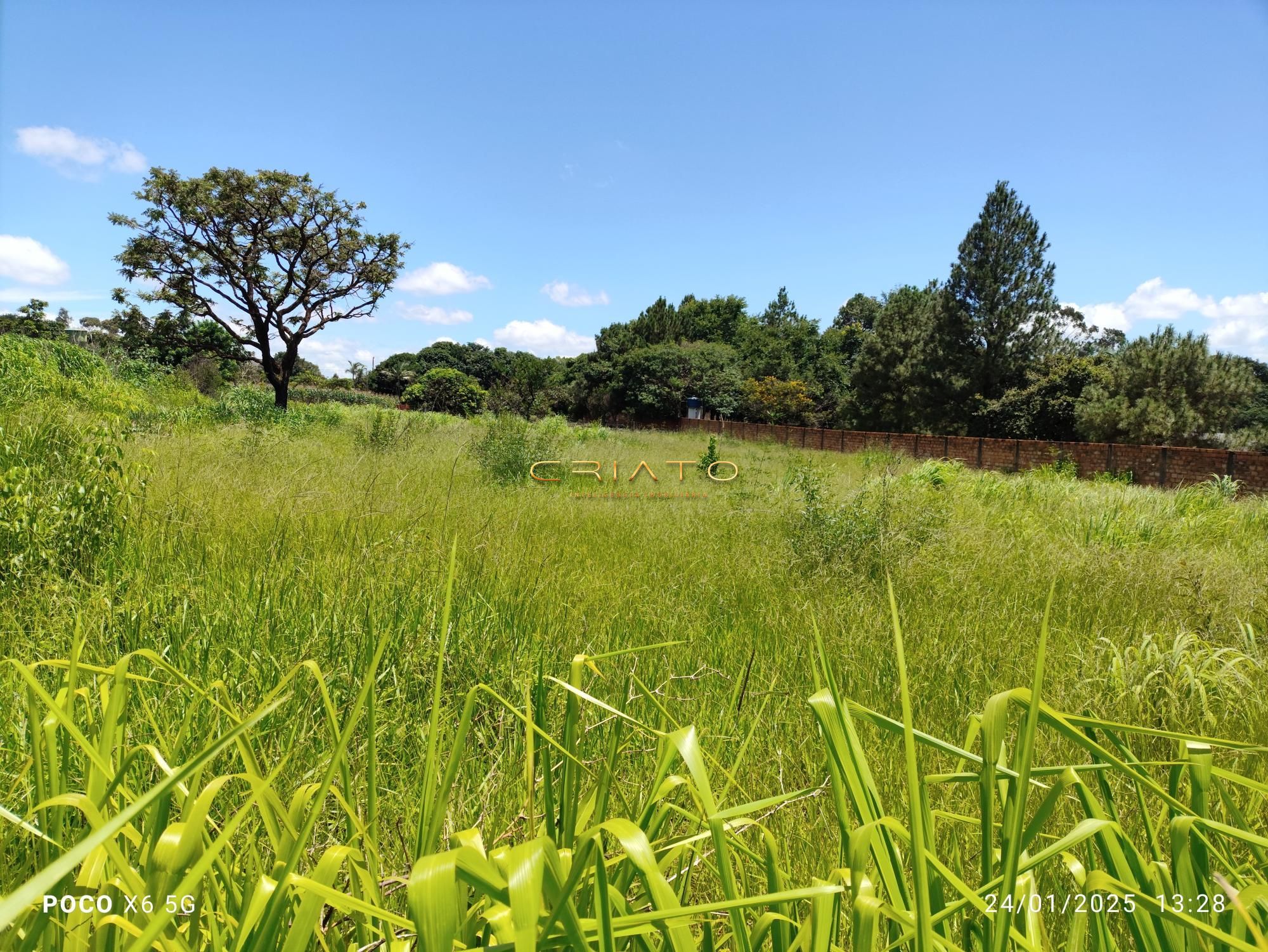 Terreno à venda, 4000m² - Foto 7