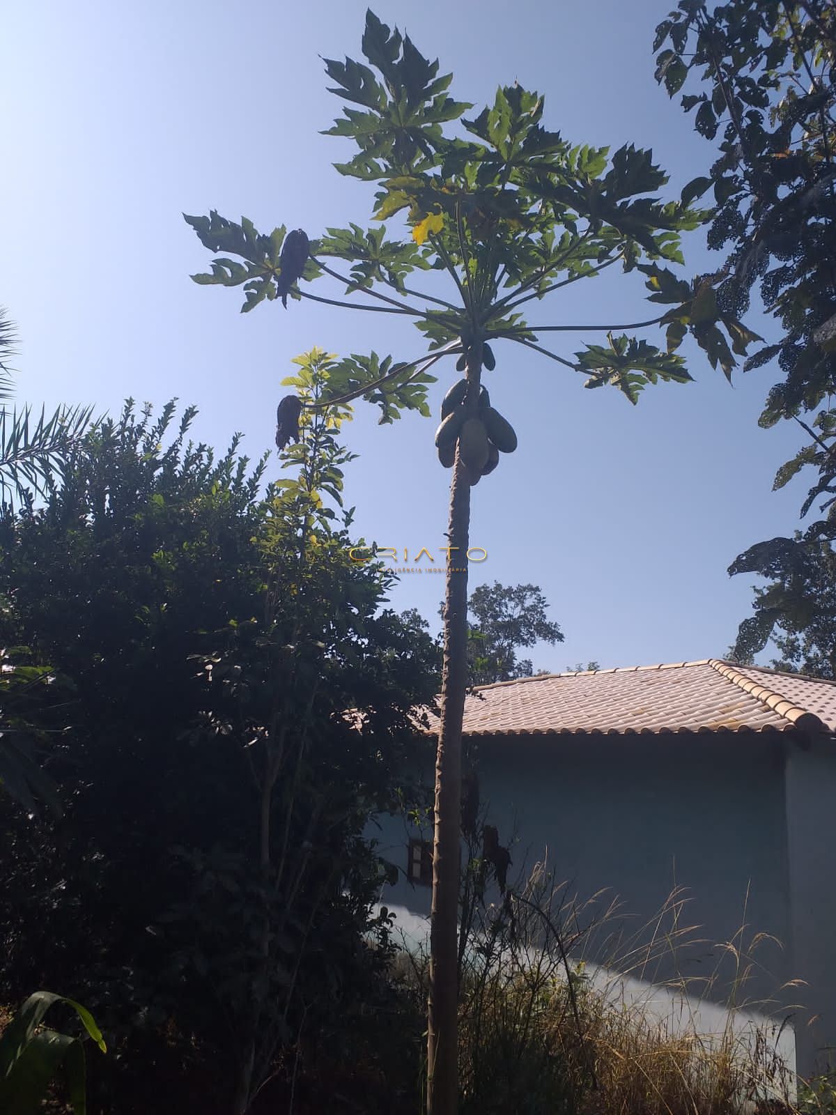 Chácara, 2 quartos, 12 m² - Foto 12