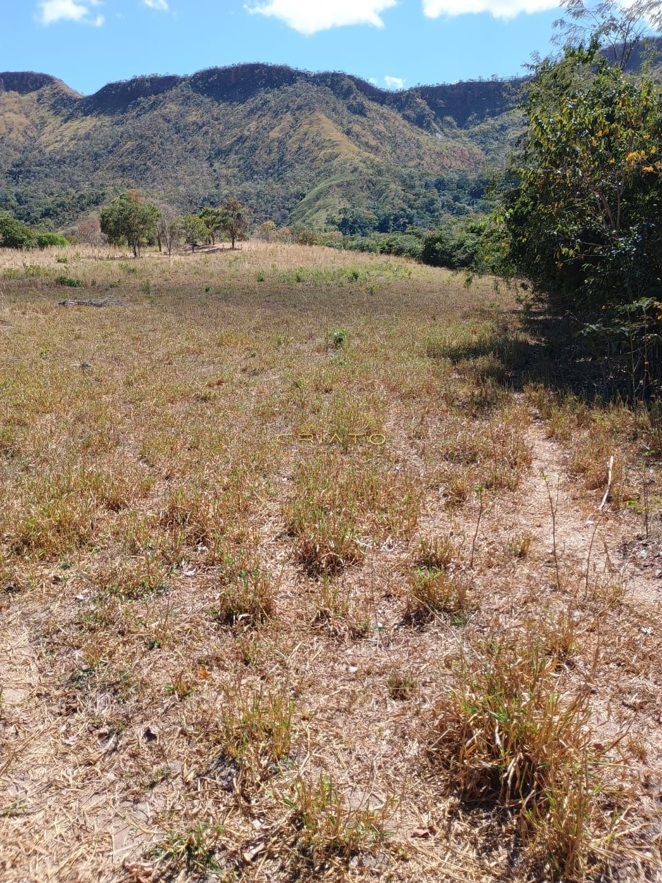 Fazenda à venda com 2 quartos, 5390000m² - Foto 12