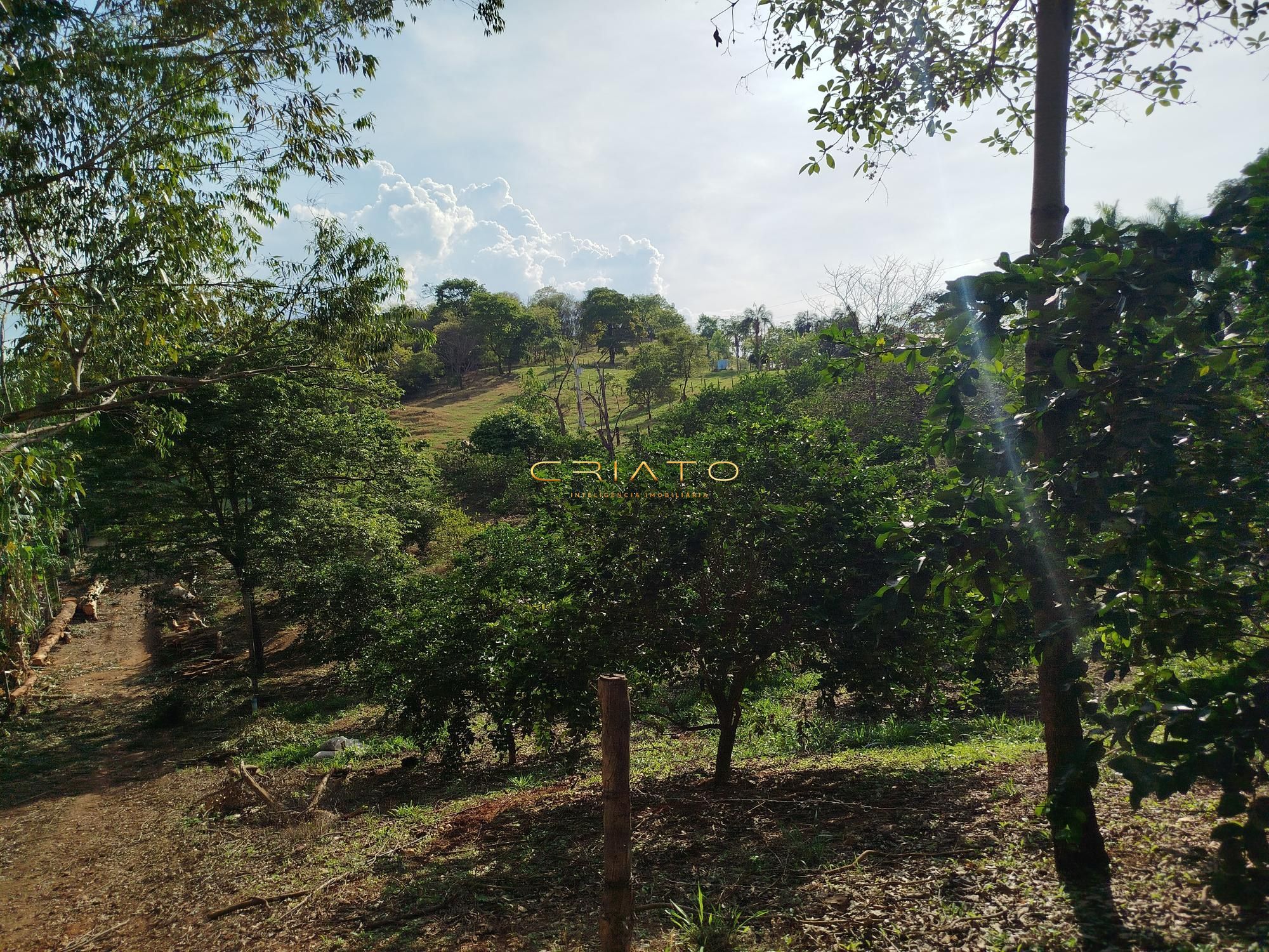 Fazenda à venda com 5 quartos, 18000m² - Foto 16