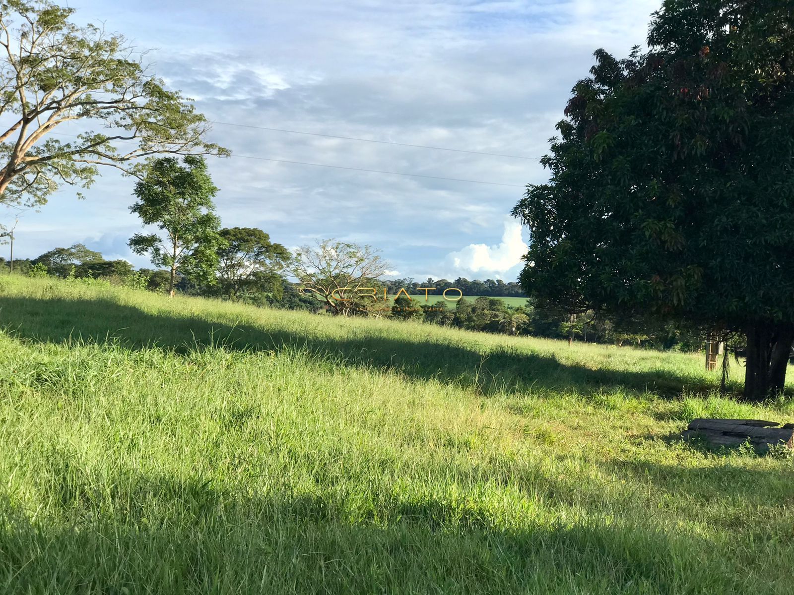 Fazenda à venda com 2 quartos, 150m² - Foto 20