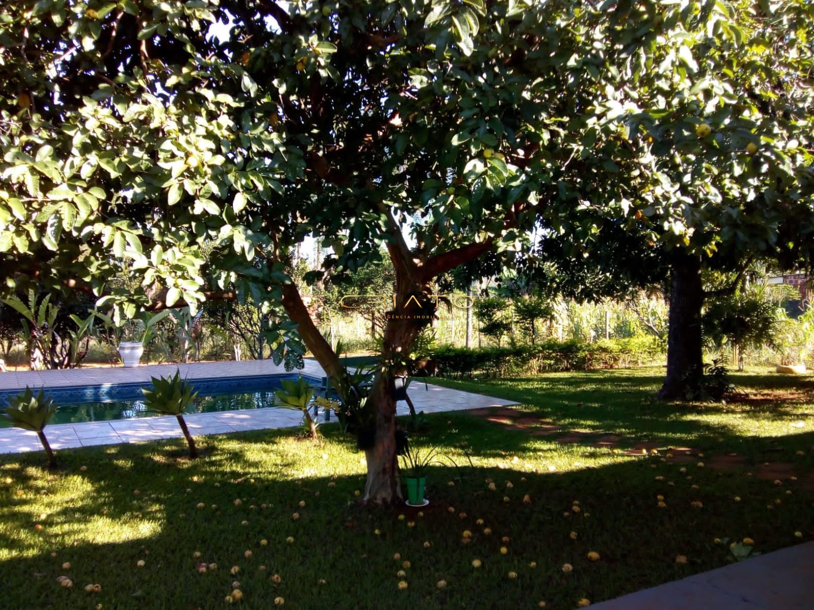 Chácara à venda com 4 quartos, 260m² - Foto 12