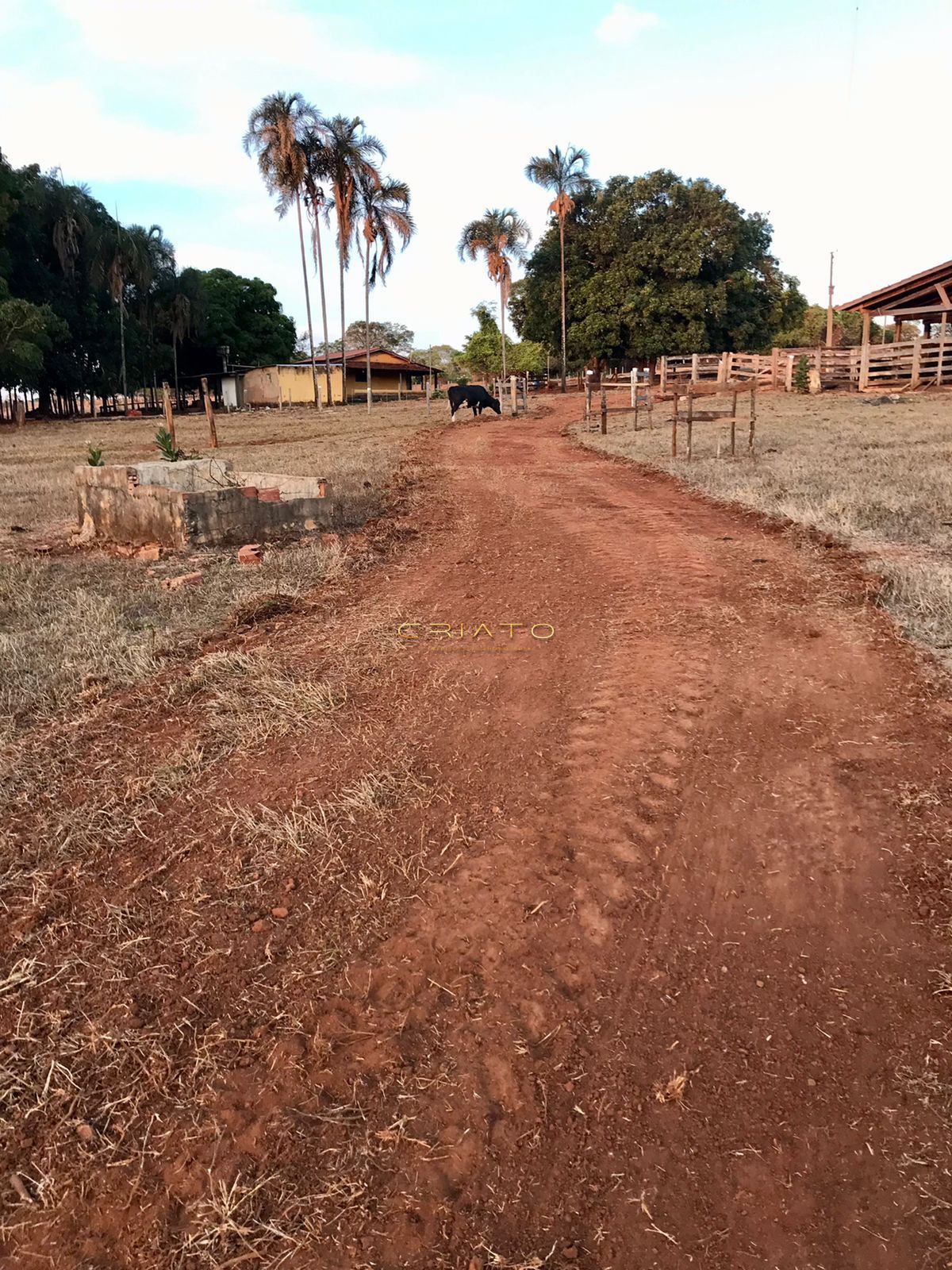 Fazenda à venda com 2 quartos, 150m² - Foto 22