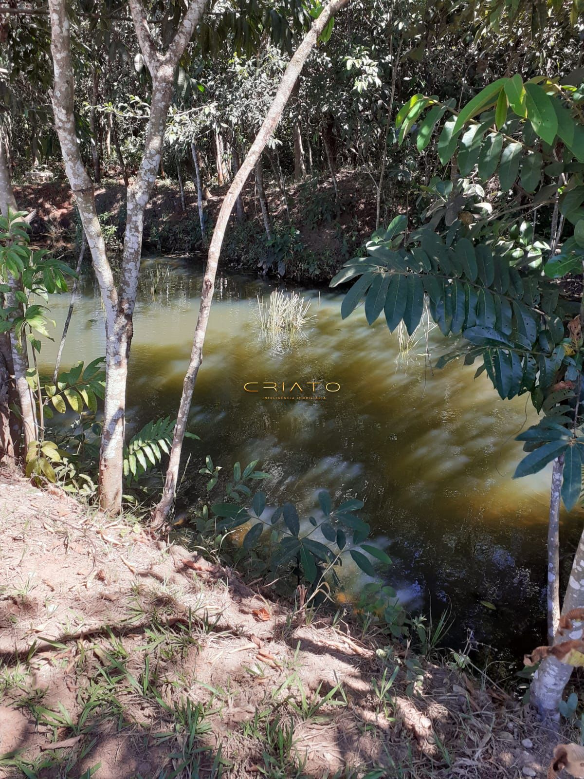 Fazenda à venda com 3 quartos, 20000m² - Foto 18