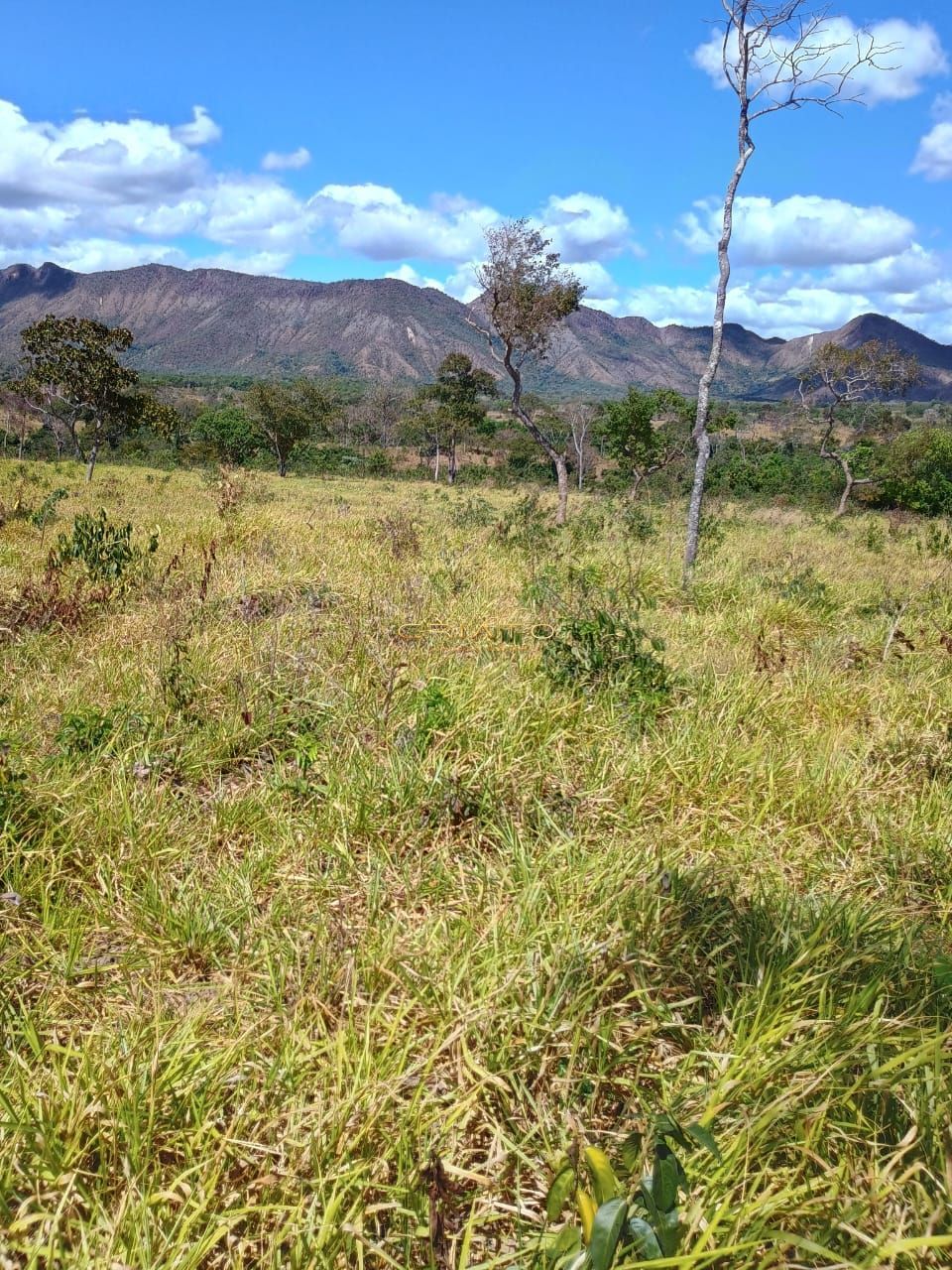 Fazenda à venda com 2 quartos, 5390000m² - Foto 29