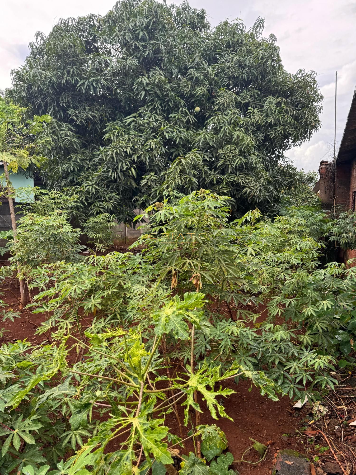 Terreno/Lote à venda  no Loteamento Residencial América - Anápolis, GO. Imóveis