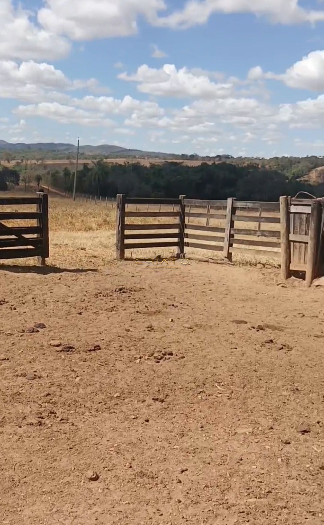 Fazenda à venda com 5 quartos, 1790000m² - Foto 13