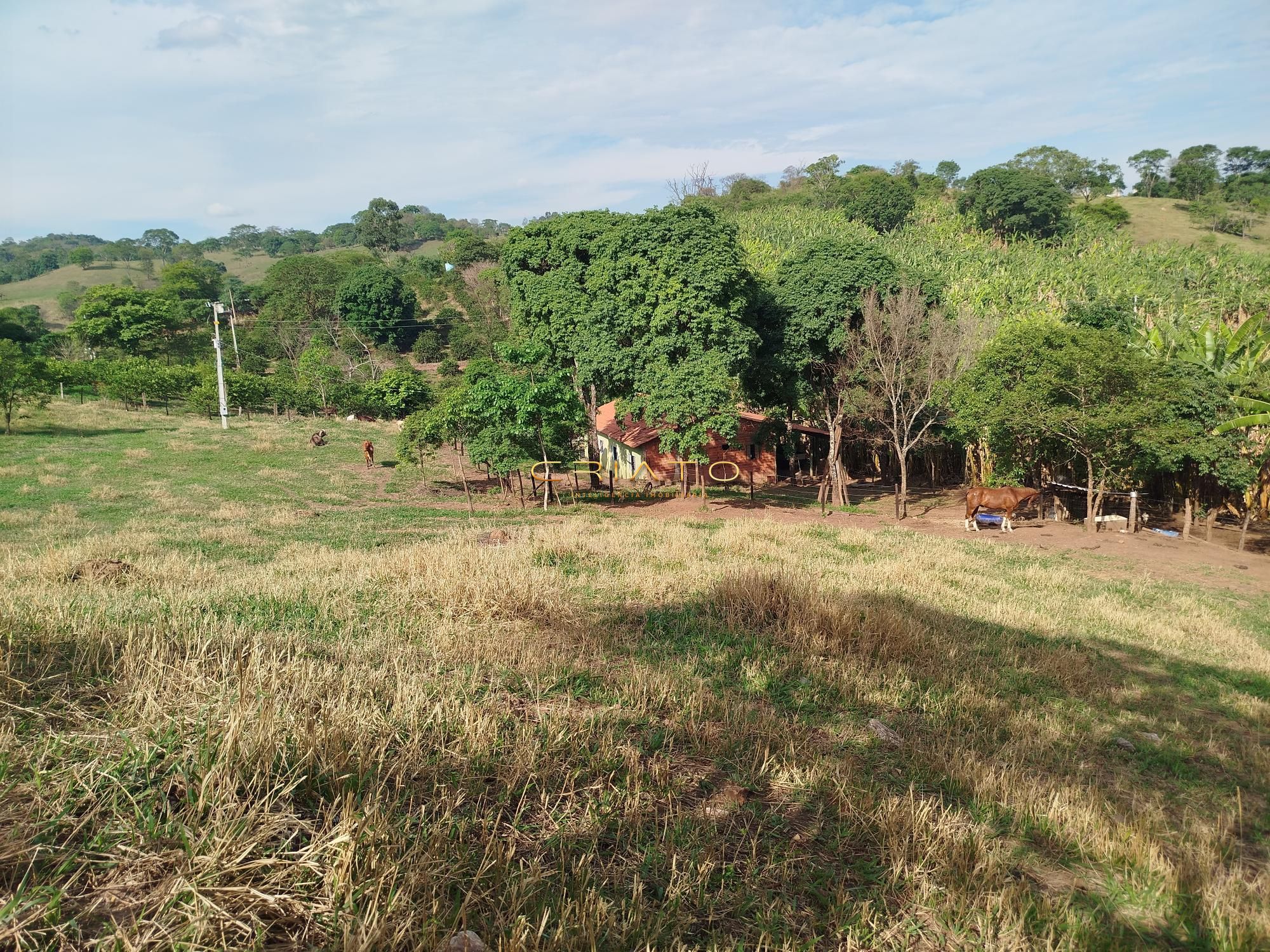 Fazenda à venda com 5 quartos, 18000m² - Foto 8