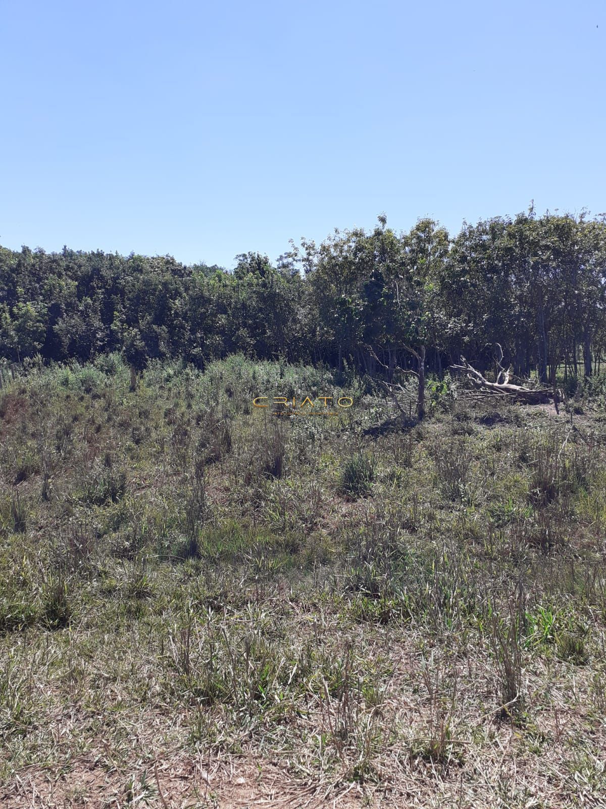 Fazenda à venda com 3 quartos, 20000m² - Foto 25