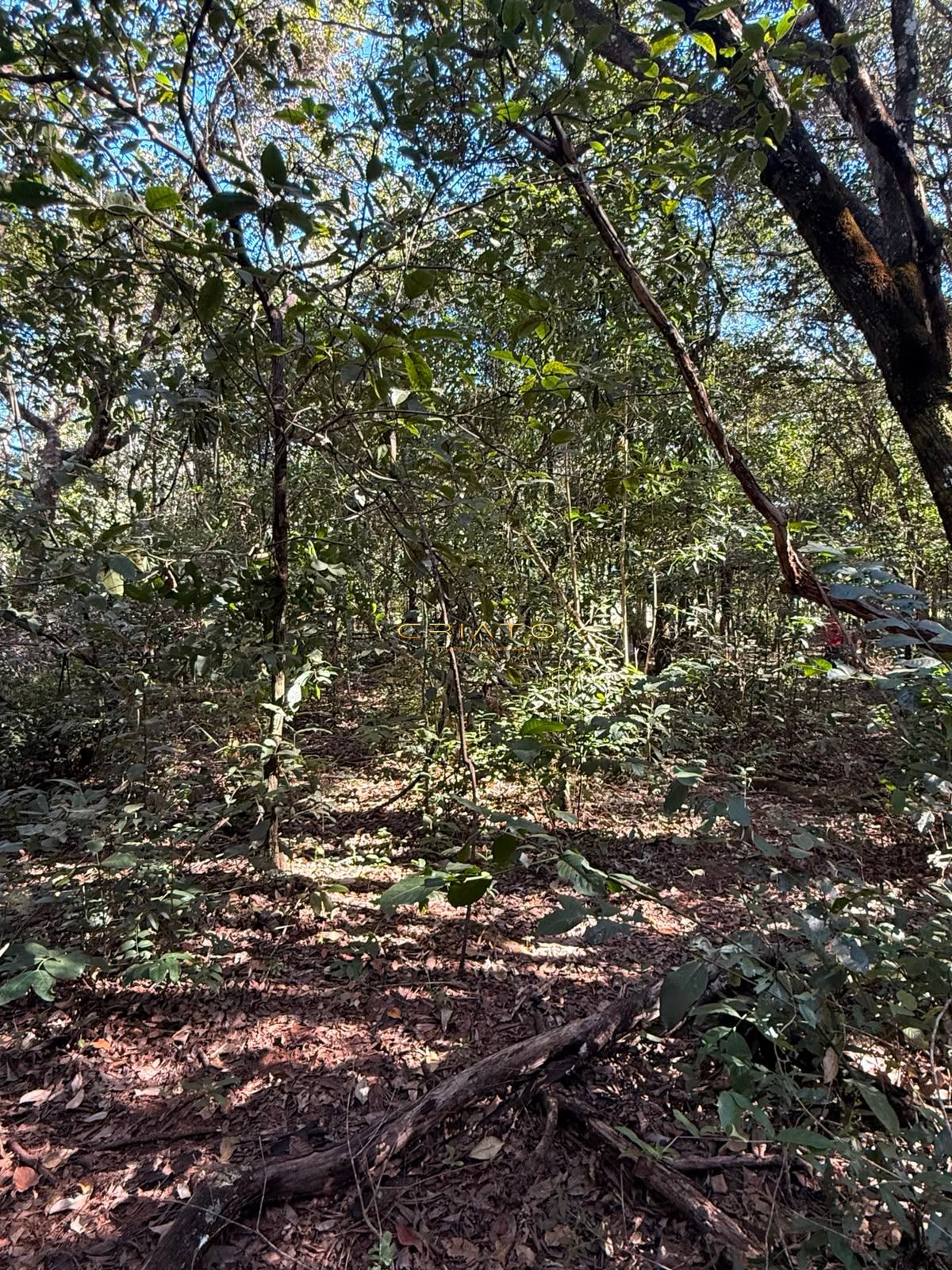 Terreno, 1200 m² - Foto 3