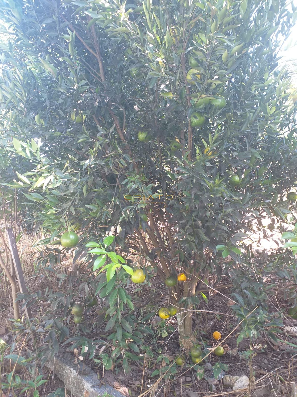 Fazenda/sítio/chácara/haras com 2 Dormitórios à venda, 13 m² por R$ 370.000,00 Fazenda/sítio/chácara/haras com 2 Dormitórios à venda, 13 m² por R$ 370.000,00