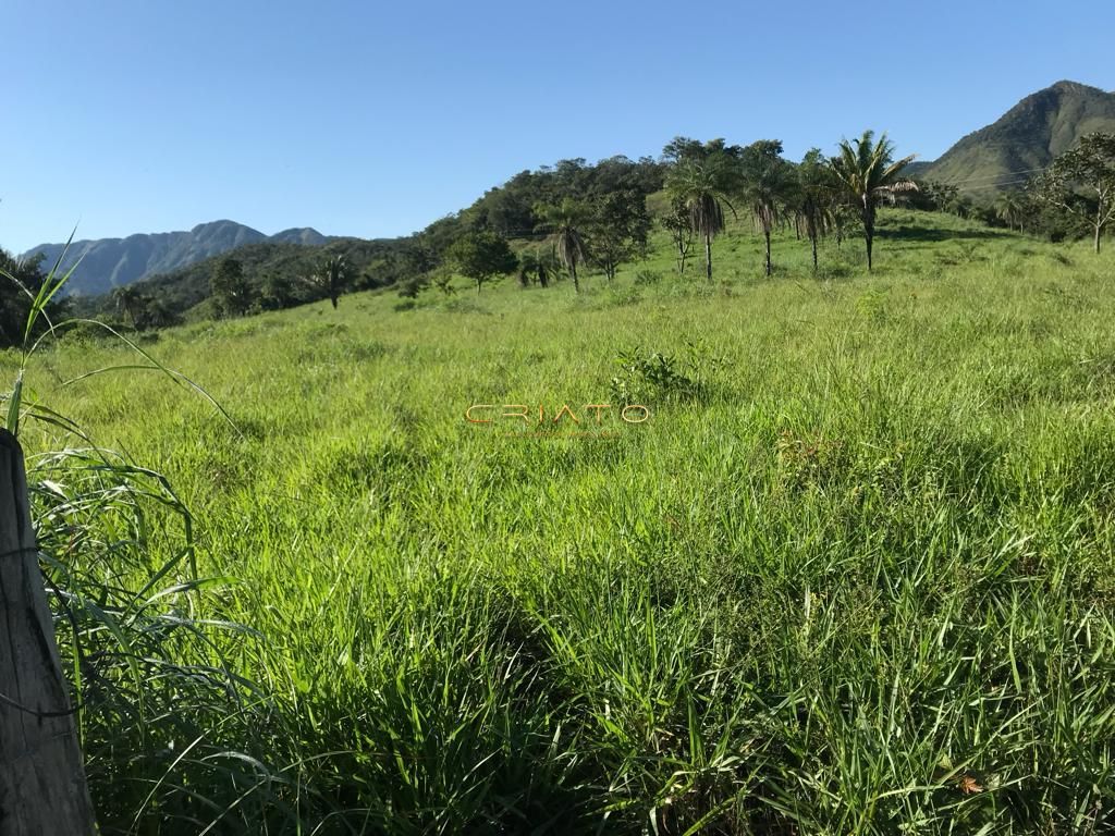 Terra pra pecuária 70 % permuta